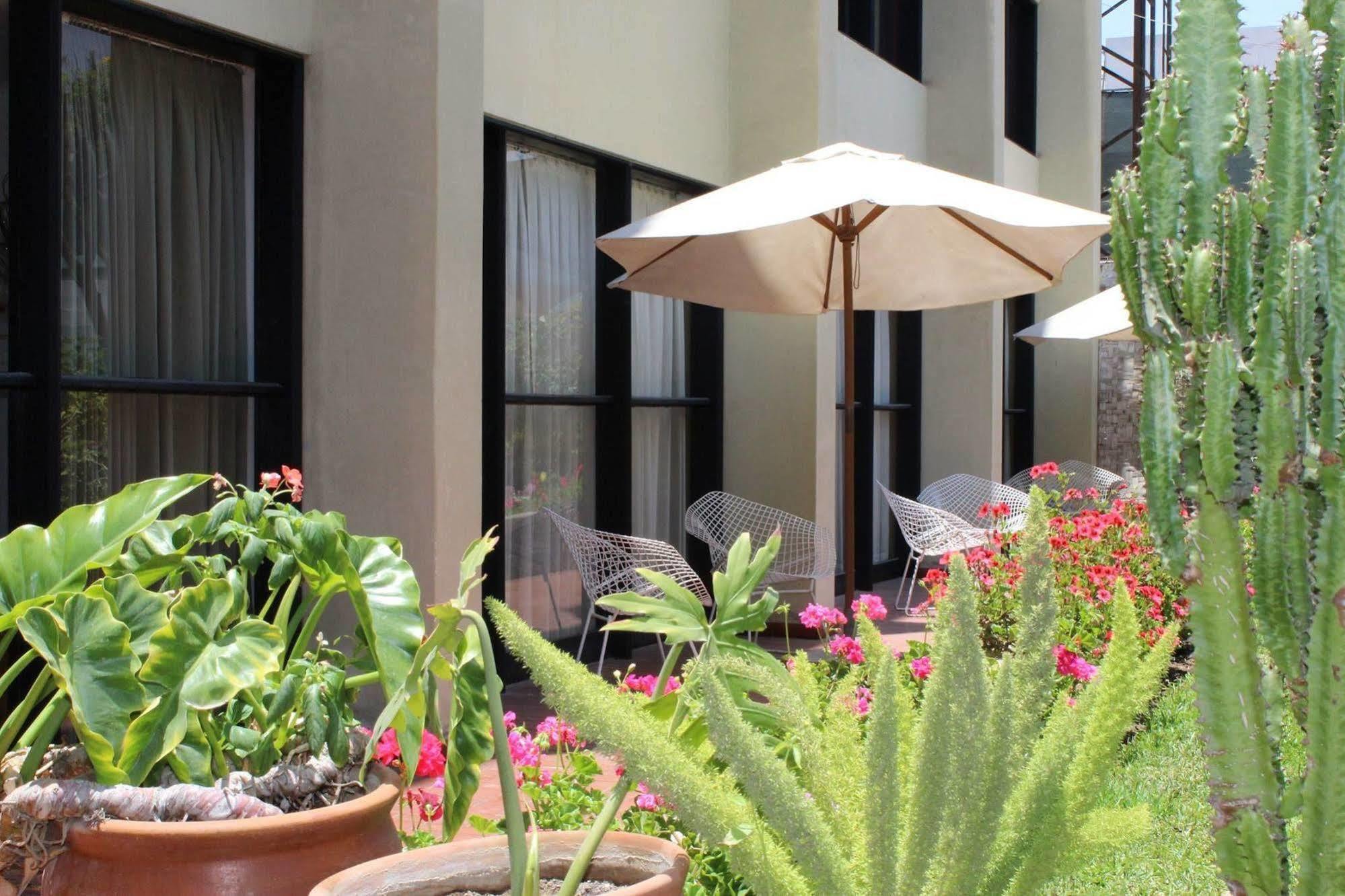 Holiday Suites Tacna Exterior foto